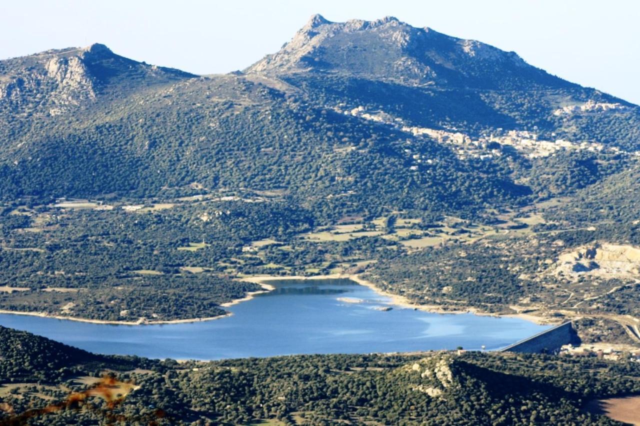 Vacancorse Maison U Canale Speloncato  Dış mekan fotoğraf