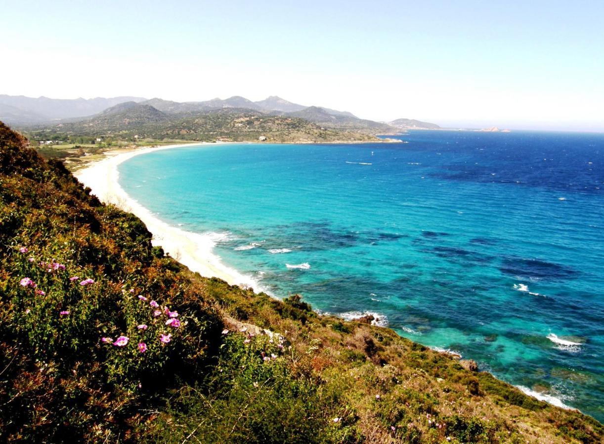 Vacancorse Maison U Canale Speloncato  Dış mekan fotoğraf